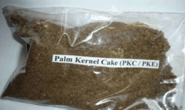palm-kernel-cake